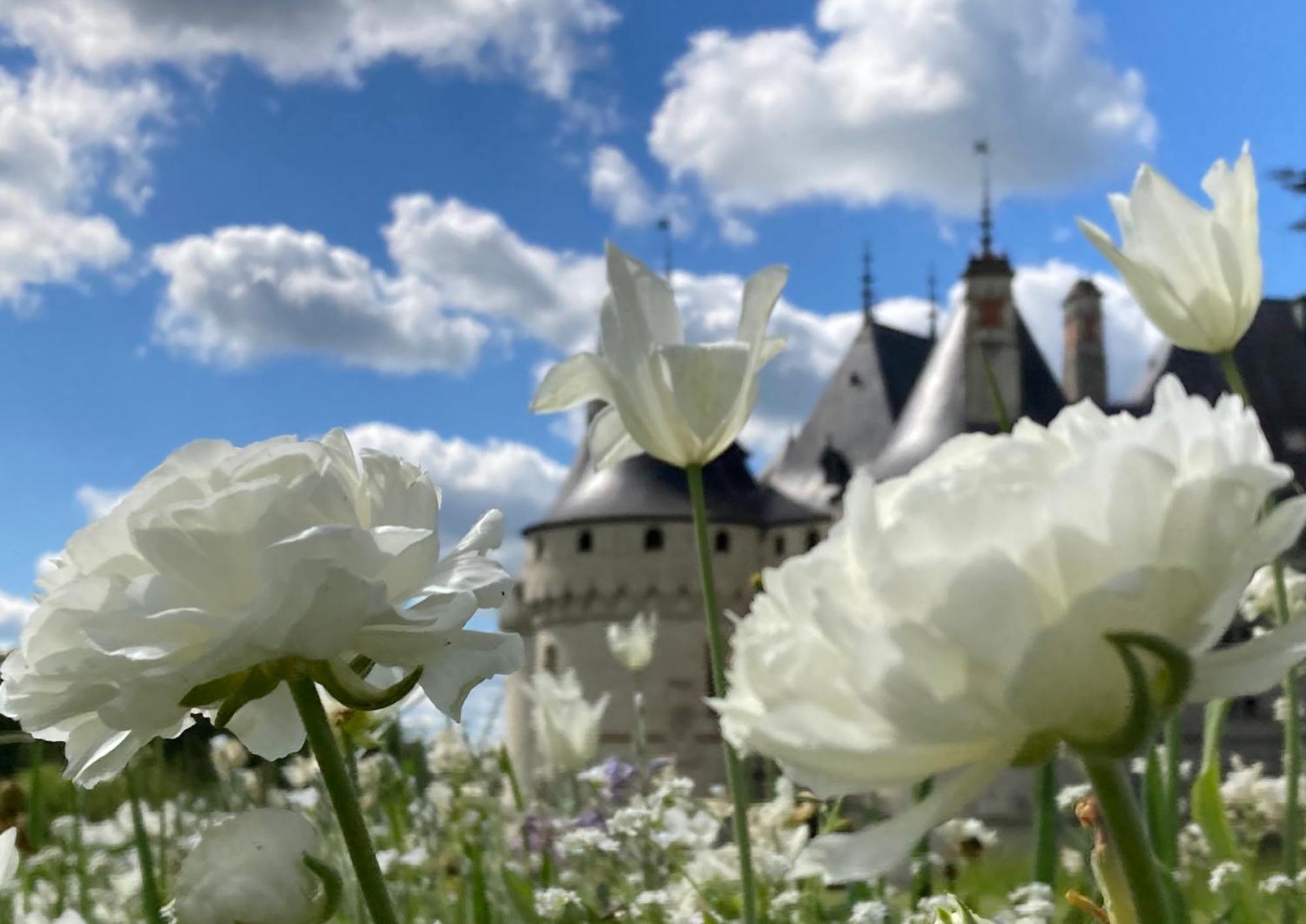 Une Maison, Un Jardin Berthenay 外观 照片